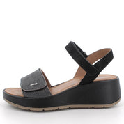 Flatforms IGI&CO 1163200