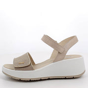Flatforms IGI&CO 1163211