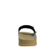 Slides SCHOLL F311841002 SLIDES