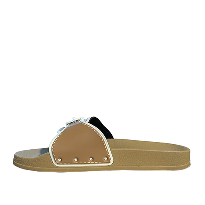 Slides SCHOLL F311841002 SLIDES