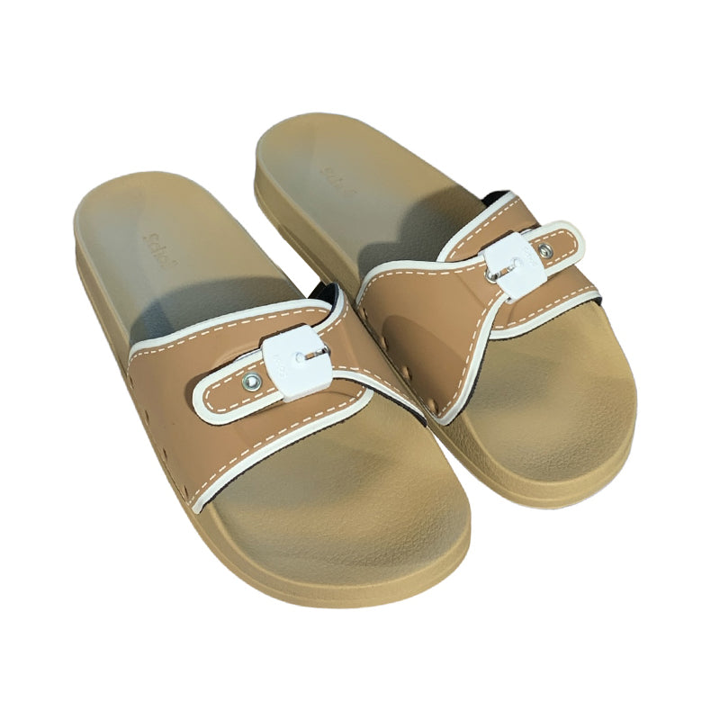 Slides SCHOLL F311841002 SLIDES