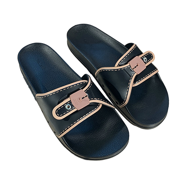 Slides SCHOLL F311841004 SLIDES