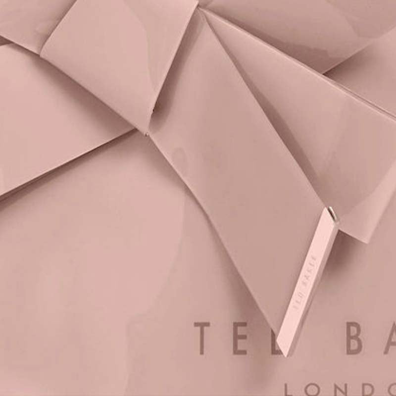 Τσάντα TED BAKER 283897-NIKICON ΤΣΑΝΤΕΣ